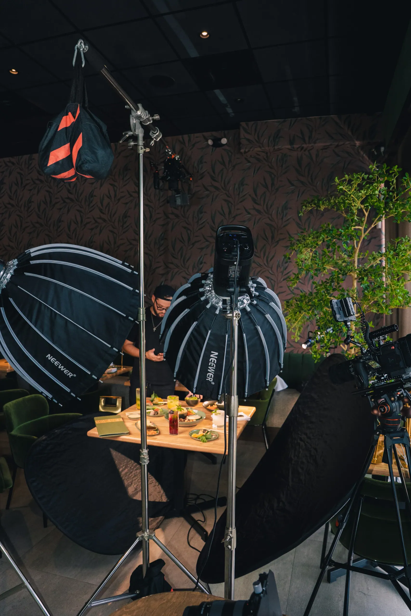 A lit Sushi Sake set — parabolic softboxes on stands frame a table of plated dishes in the dining room.